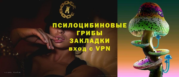 бошки Горняк