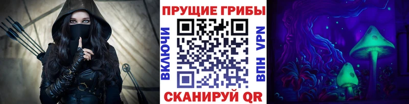 где можно купить наркотик  Галич  darknet формула  Галлюциногенные грибы мицелий 